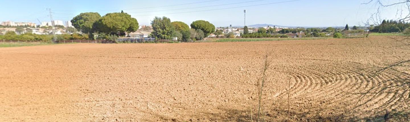 🏡 Parcela en venta en Montealegre – Jerez de la Frontera (Cádiz)