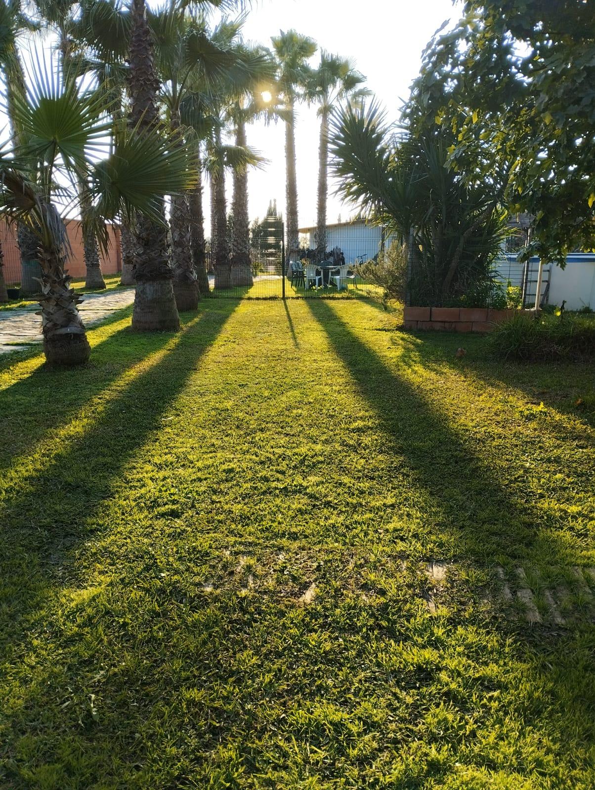 Gran Parcela con casa en urbanización los Pinos de La Algabarra!!!