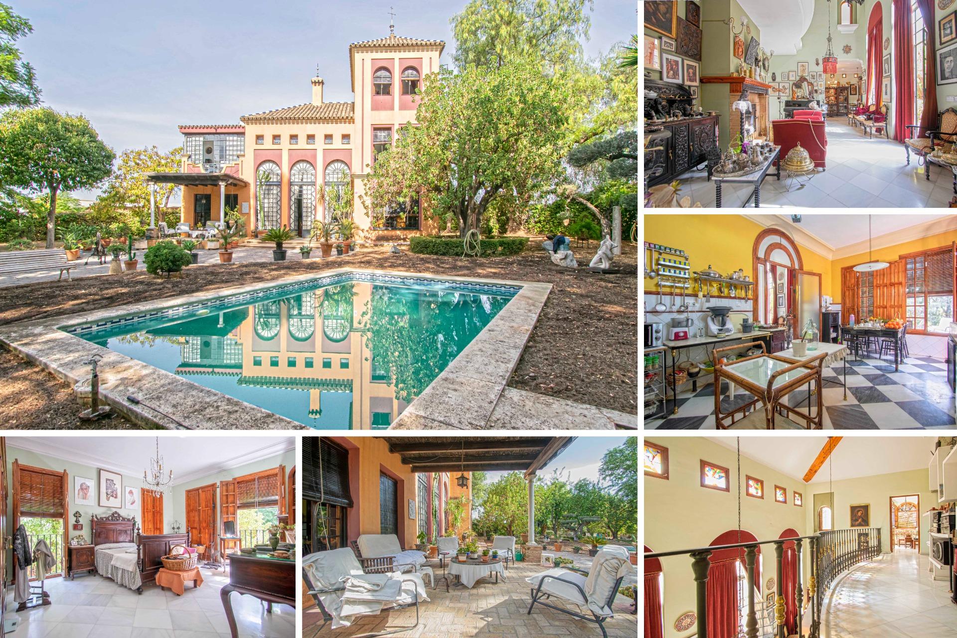 ESPECTACULAR FINCA EN CARRETERA MAIRENA - ALMENSILLA !!!