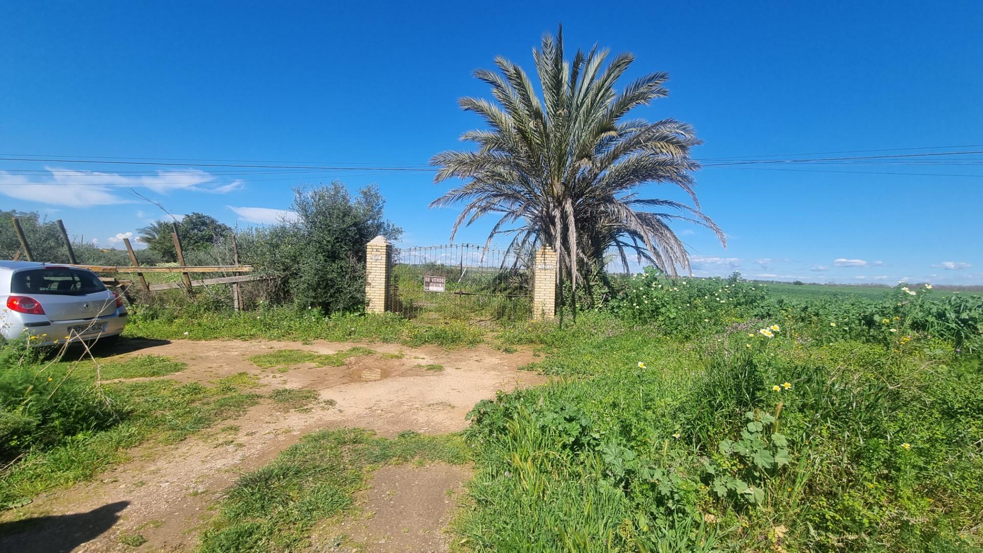 TERRENO RUSTICO- CARRETERA MAIRENA-ALMENSILLA