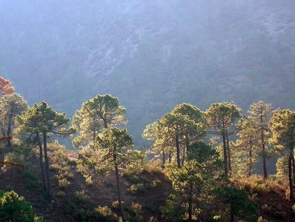 OPORTUNIDAD ÚNICA! GRAN CASA DE PUEBLO EN BENATAE (JAEN)