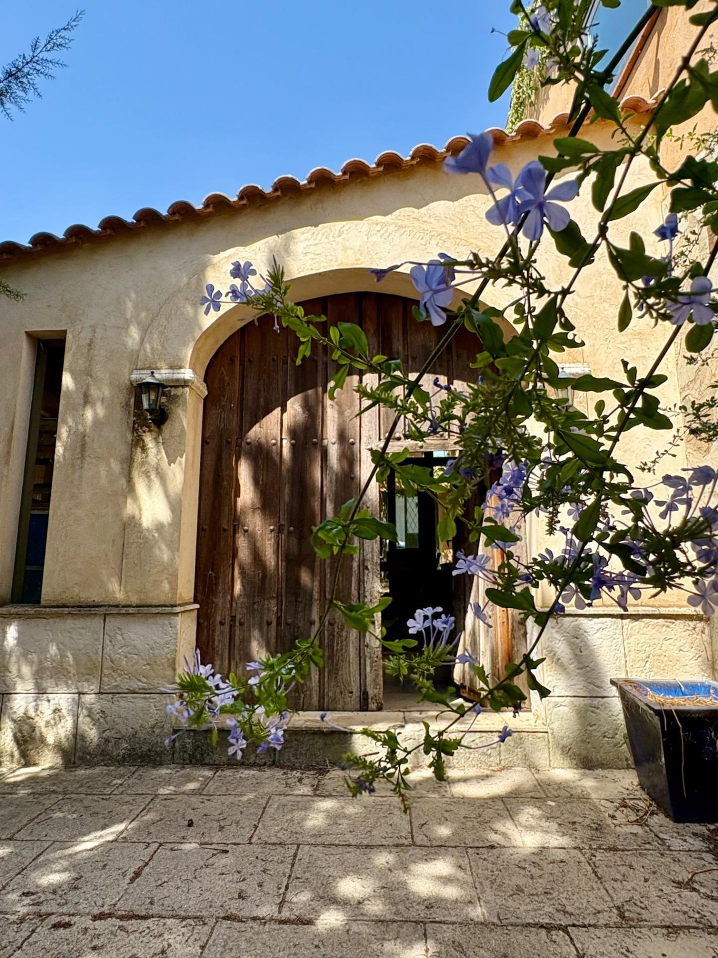 Tu refugio secreto en el corazón del bosque