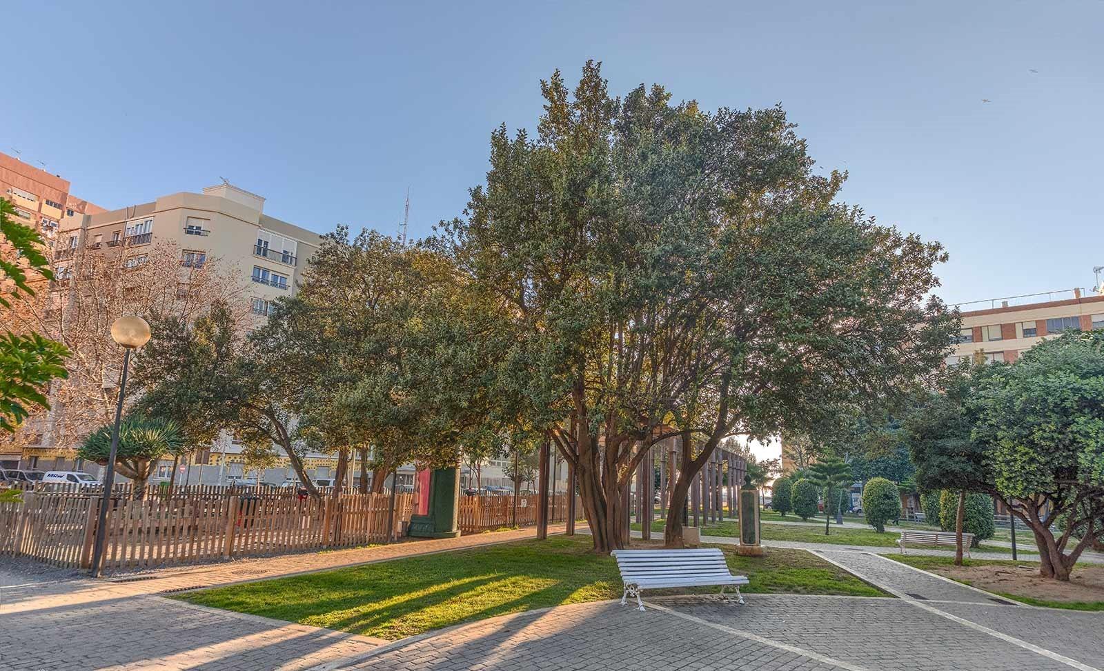 Amplio piso de 4 dormitorios para reformar en San Felipe