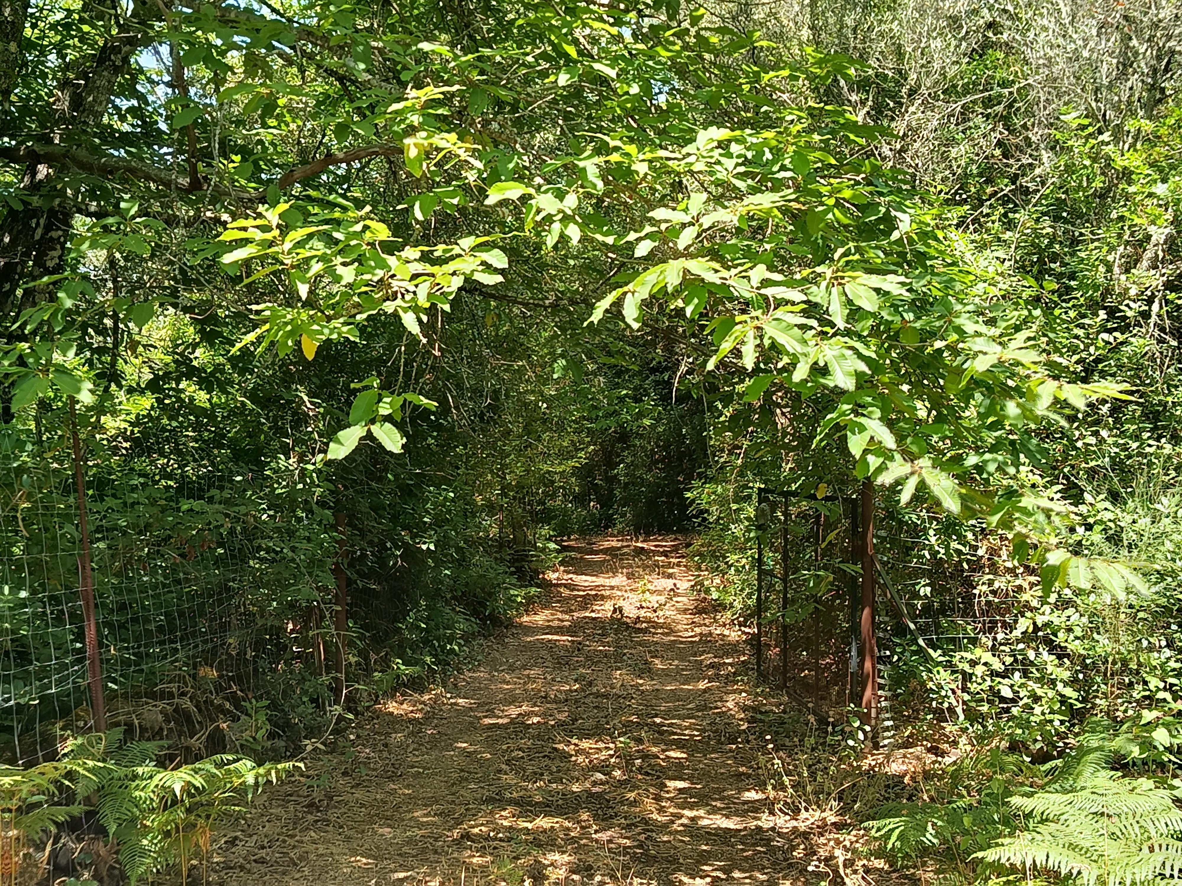 Finca rústica en Parque Natural con pozo autorizado.