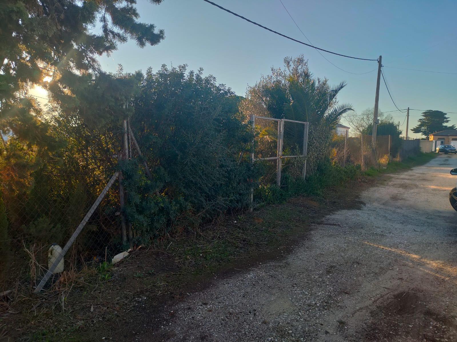 ¡OPORTUNIDAD ÚNICA! 🌳PARCELA SEGREGADA DE 960M² EN LA ZONA DE LA COQUINA🌳