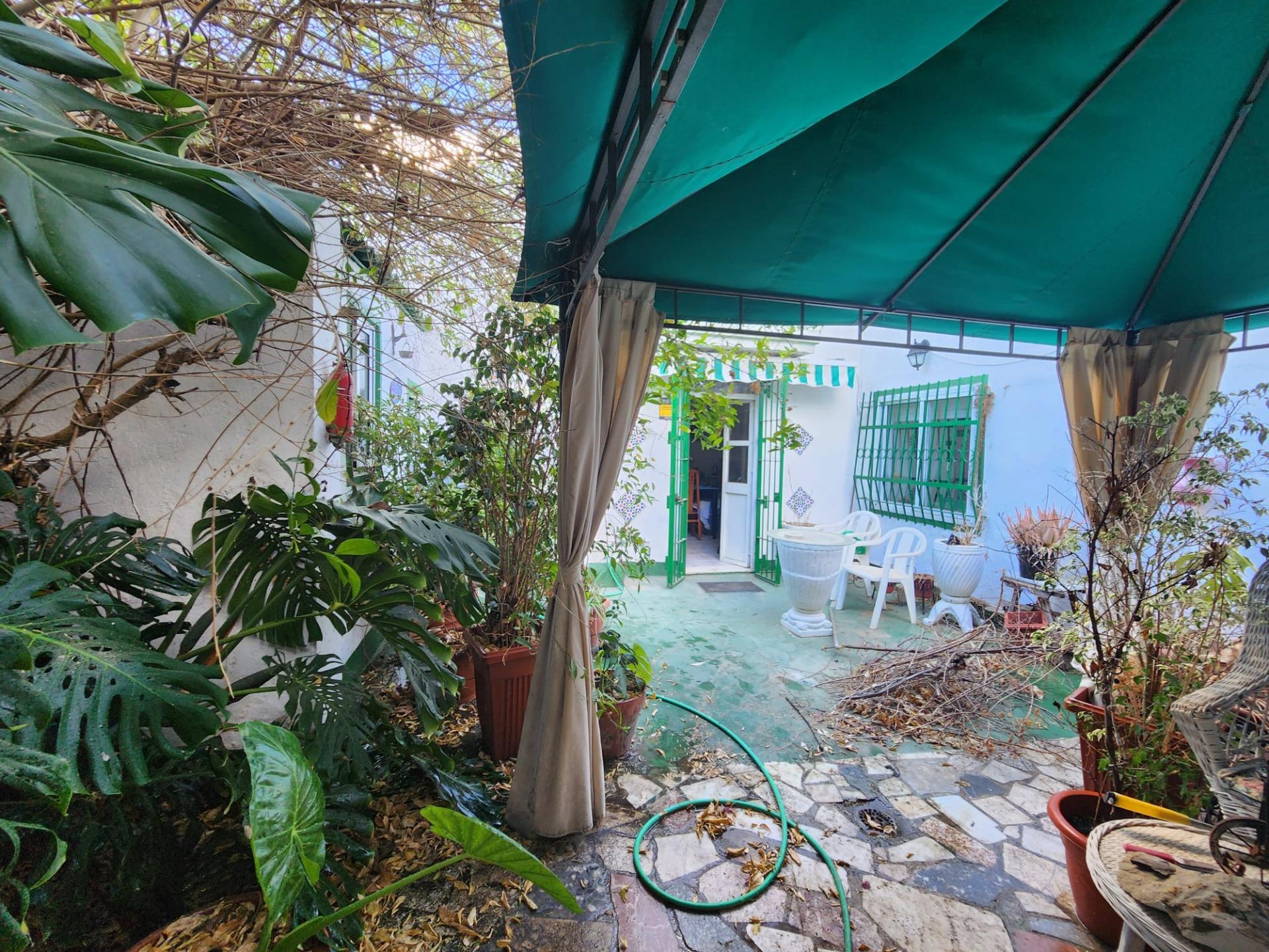 UN PARAISO UBICADO EN LA CIUDAD