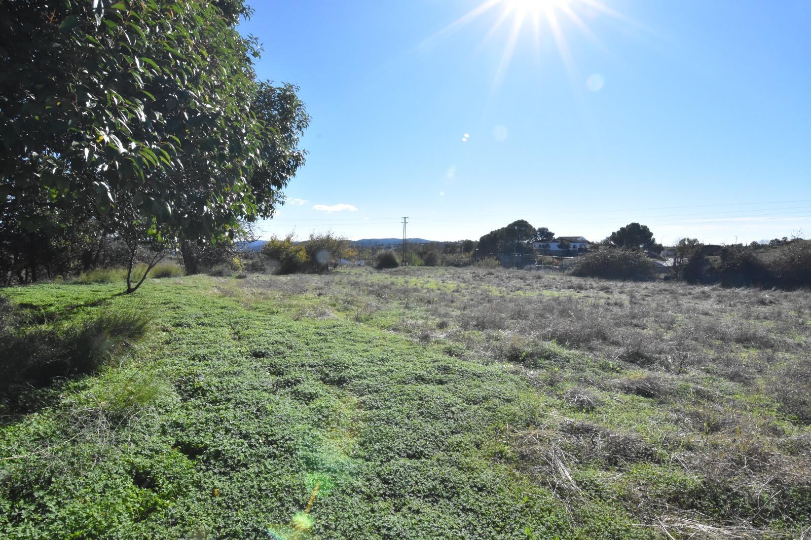 Inversión Ideal en El Pedroso: Terreno Rural con Potencial
