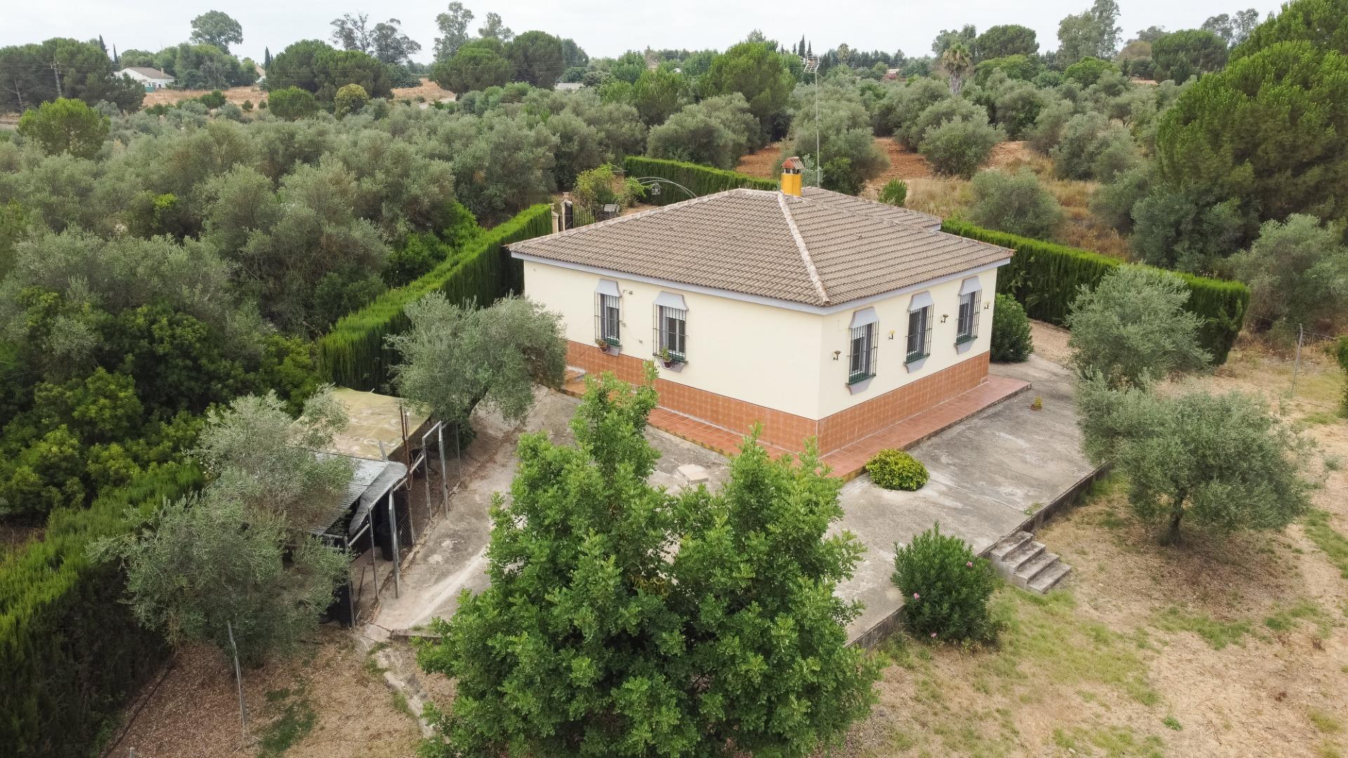 Tu refugio natural a un paso de Doñana y las playas de Huelva
