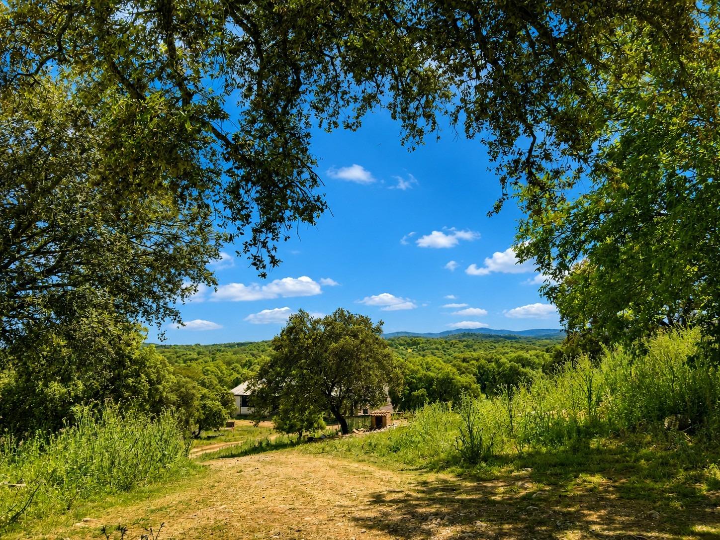 Dehesa de 97 ha con explotación ganadera, PAC, cortijo y 1.252 m² construidos
