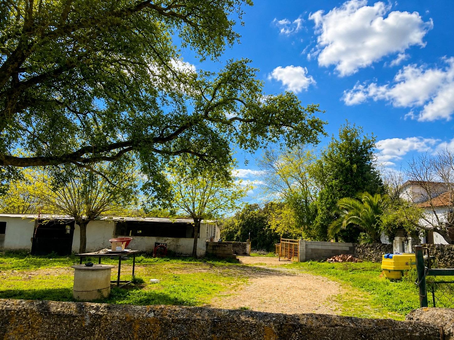 Dehesa de 97 ha con explotación ganadera, PAC, cortijo y 1.252 m² construidos