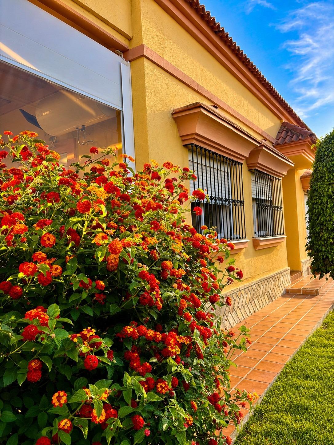 Chalet independiente en una sola planta con piscina privada en Los Caballeros (Bormujos)