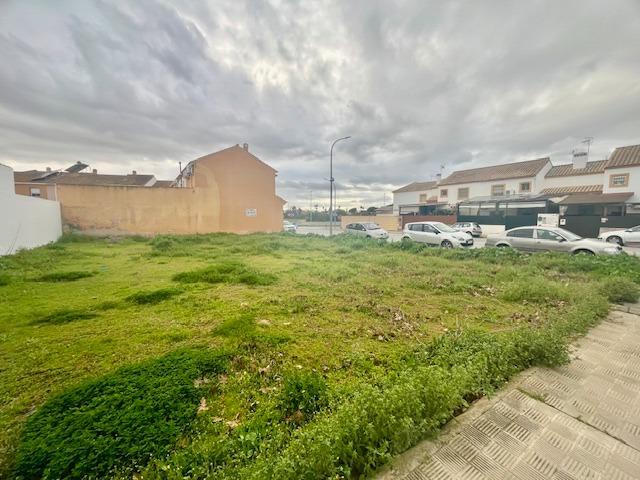 Terreno urbano con proyecto para 3 viviendas unifamiliares