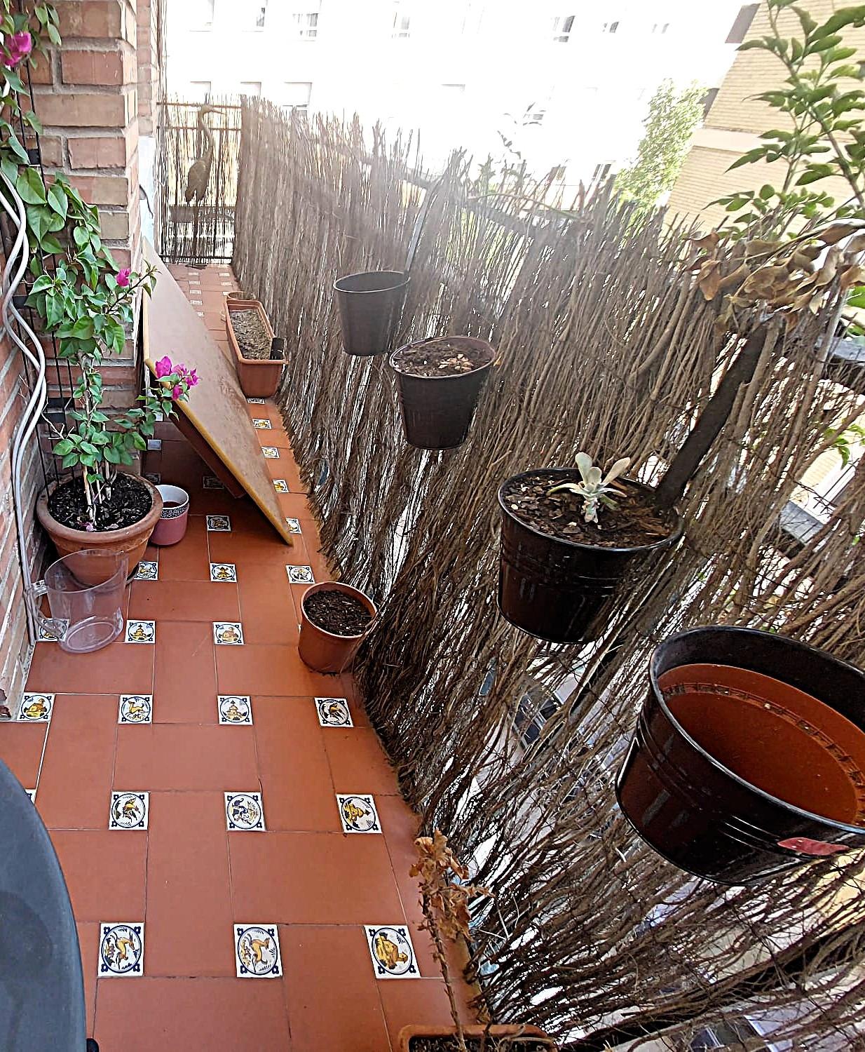 CARRETERA DE CARMONA.