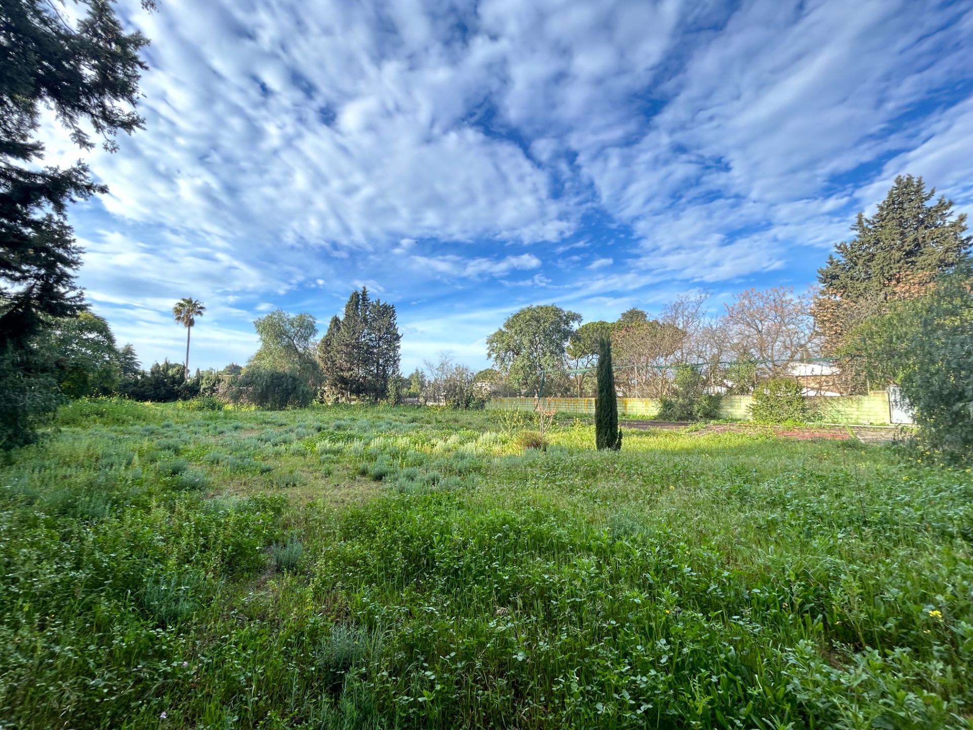 Propiedad JR-PARCELA/3290