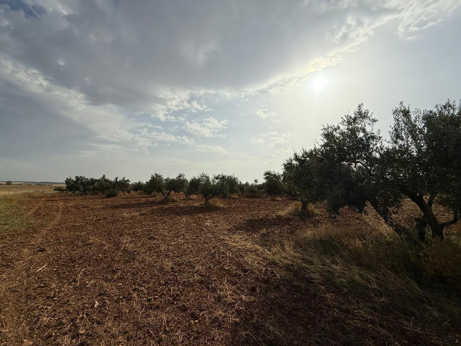 Propiedad MA70631/3285